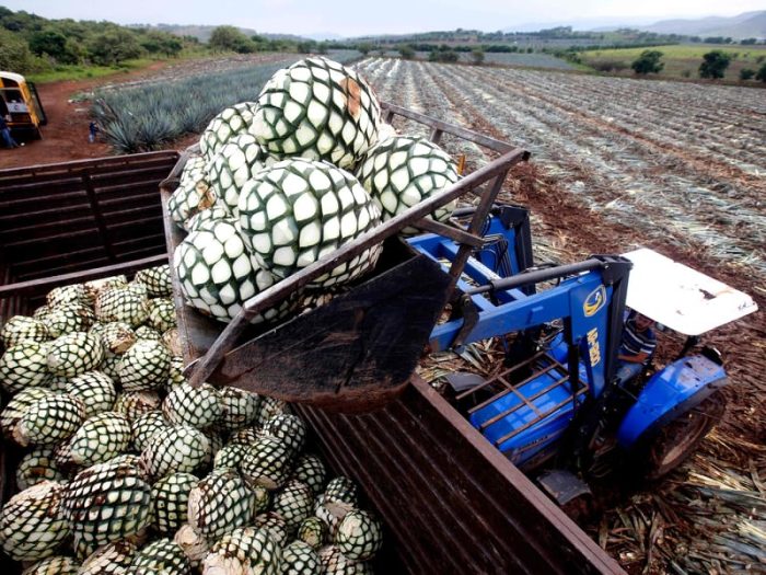 Perkembangan Perekonomian Negara Mexico Dari Awal Hingga Kini